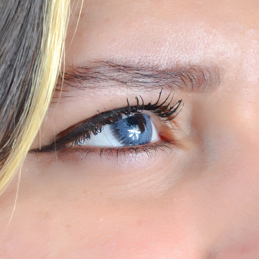 BLUE CONTOUR ( ANNUELLE 1 an )