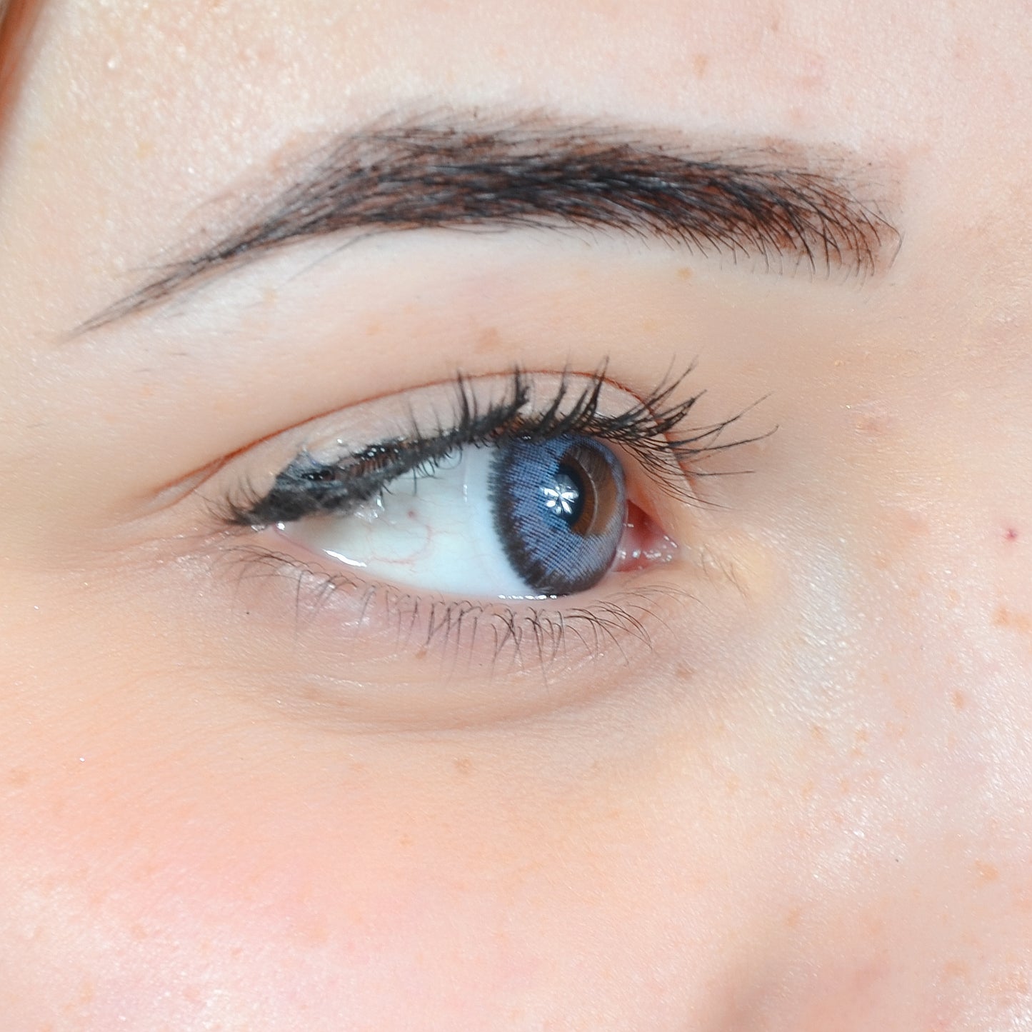 BLUE CONTOUR TORIQUE ANNUELLE ( 1 an )