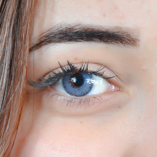 BLUE ( ANNUELLE 1 an )