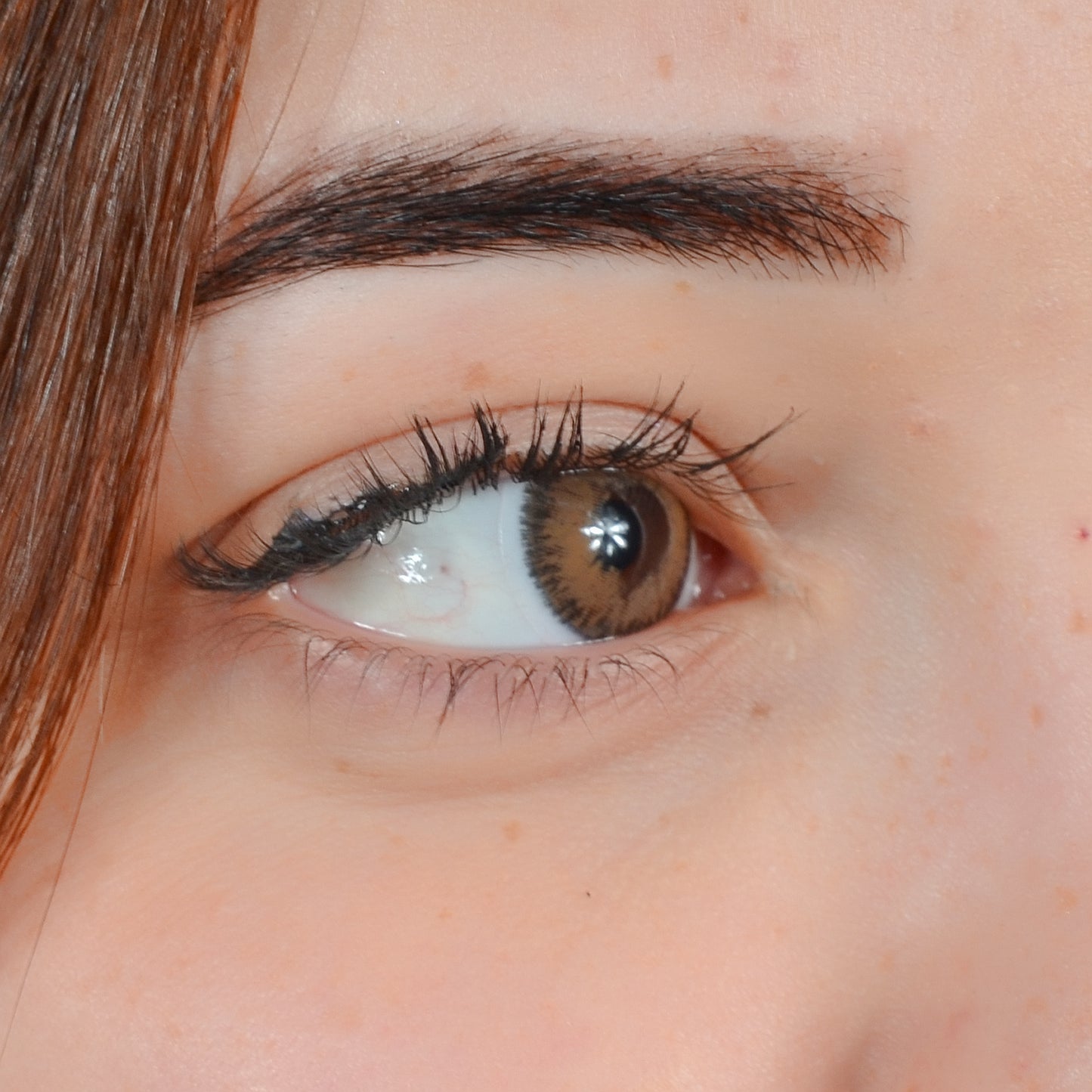 MARRON CONTOUR TORIQUE SEMESTRIELLE ( 6 Mois )