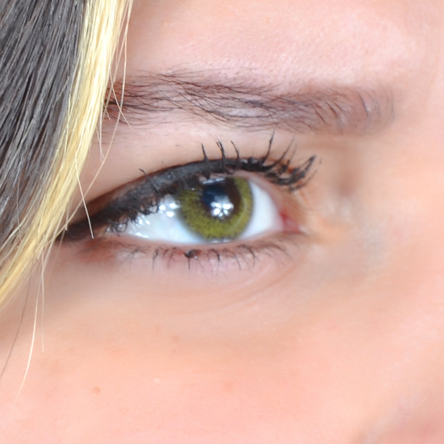 GIALLO SEMESTRIELLE ( 6 Mois )