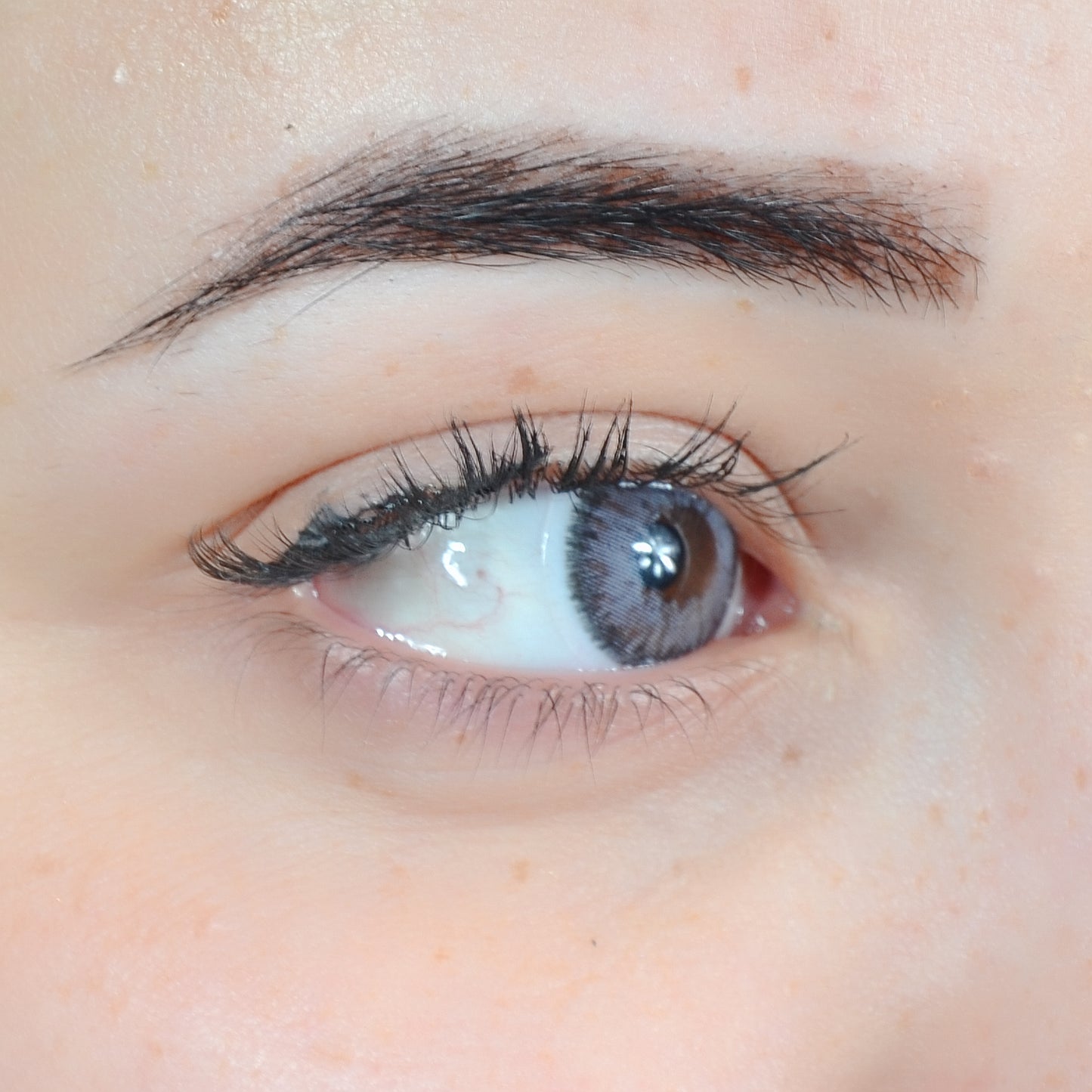 GRIS CONTOUR TORIQUE SEMESTRIELLE ( 6 Mois )