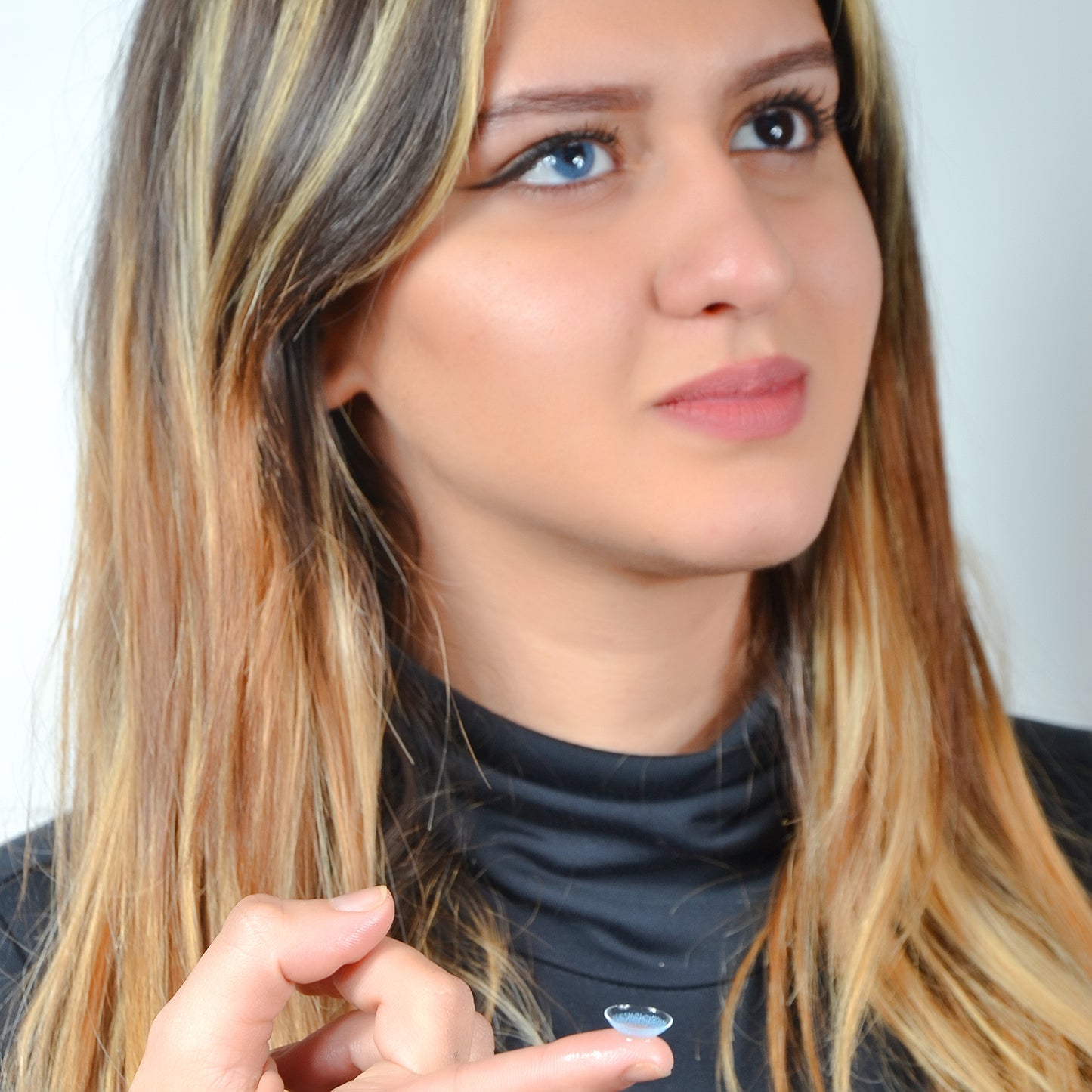 BLUE TORIQUE ANNUELLE ( 1 an )