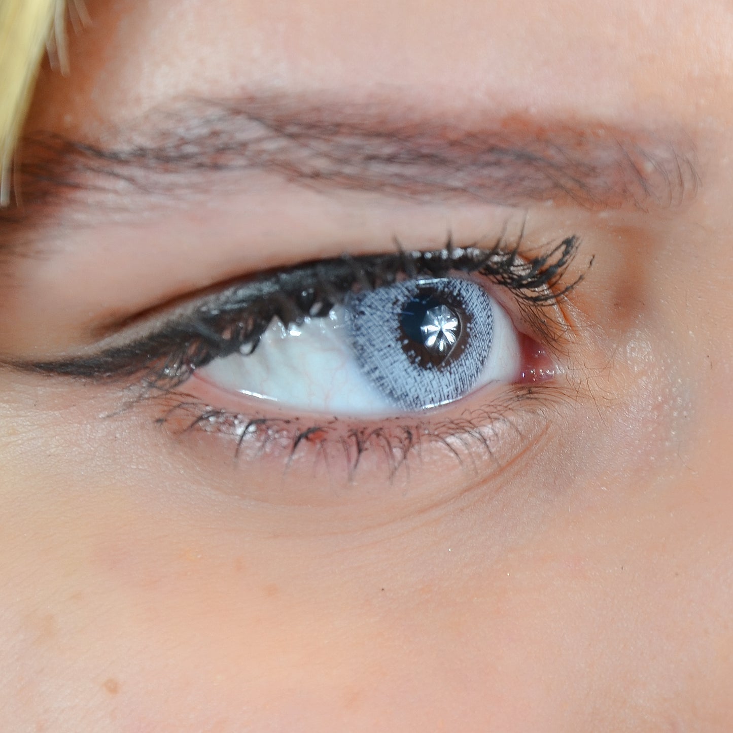 GRIS TORIQUE SEMESTRIELLE - 6 Mois )