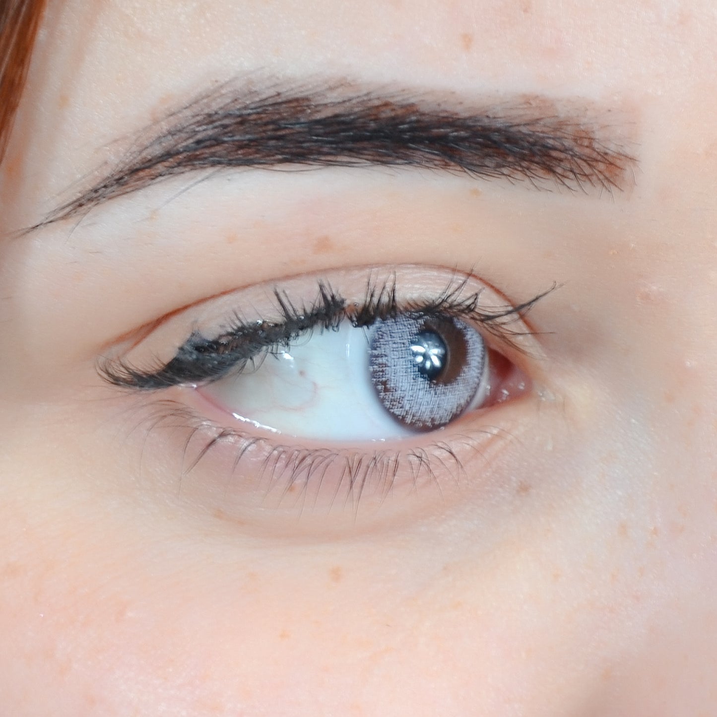 GRIS ( ANUELLE 1 an )